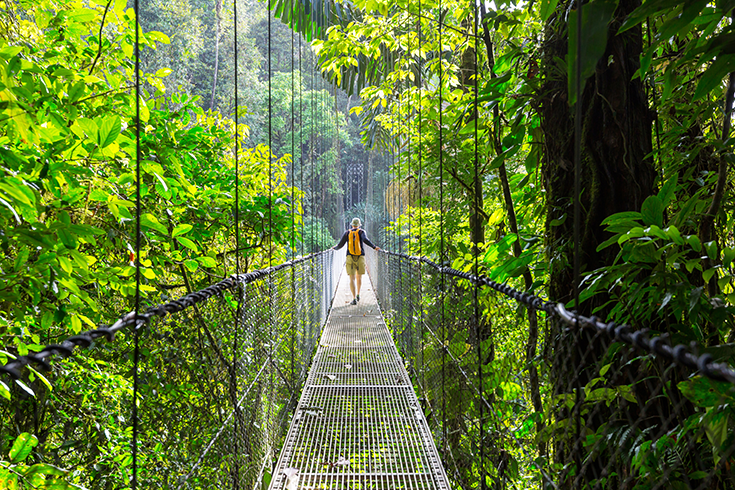 A hanging bridge in Costa Rica's cloud forest