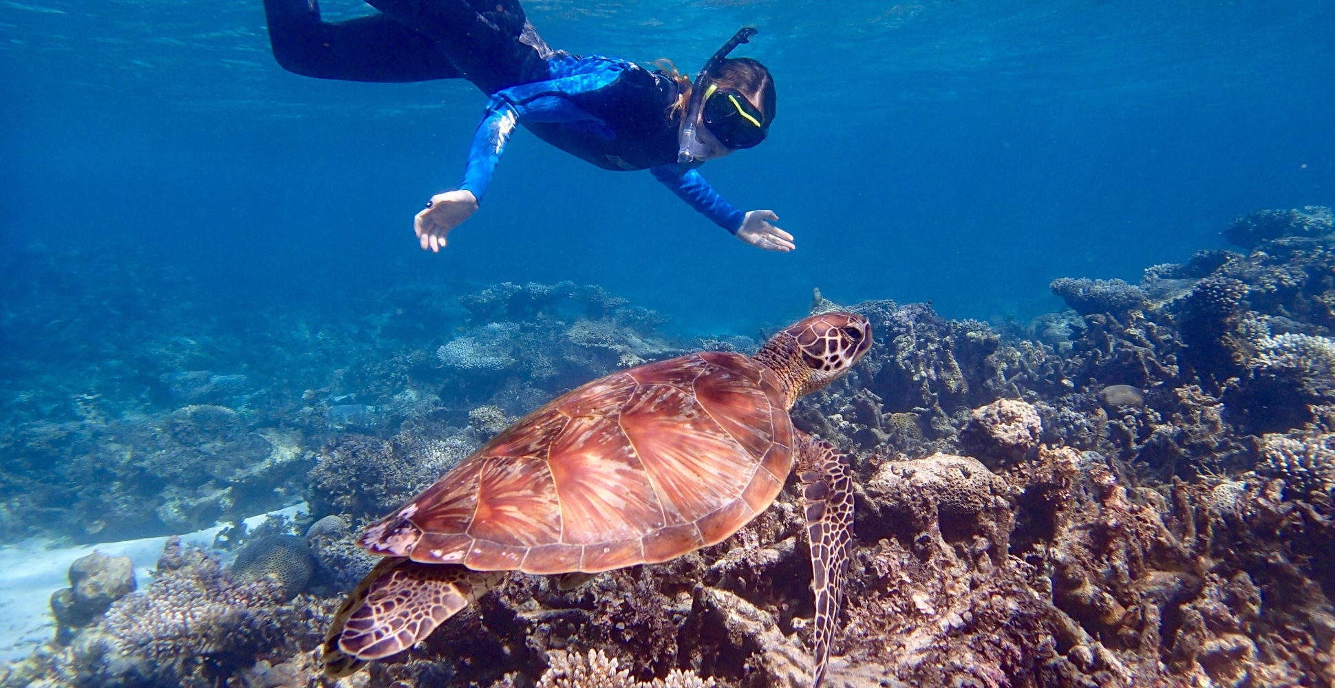 Great Barrier Reef, Australia