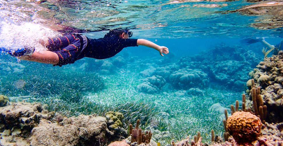 Belize Amergris Snorkler