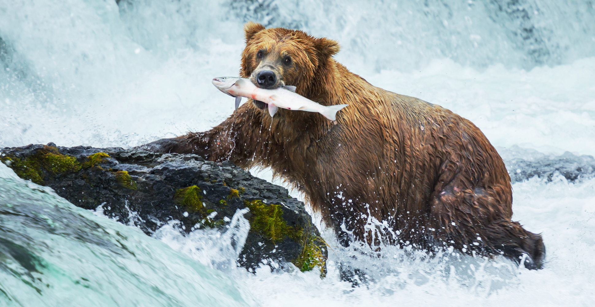 Katmai National Park