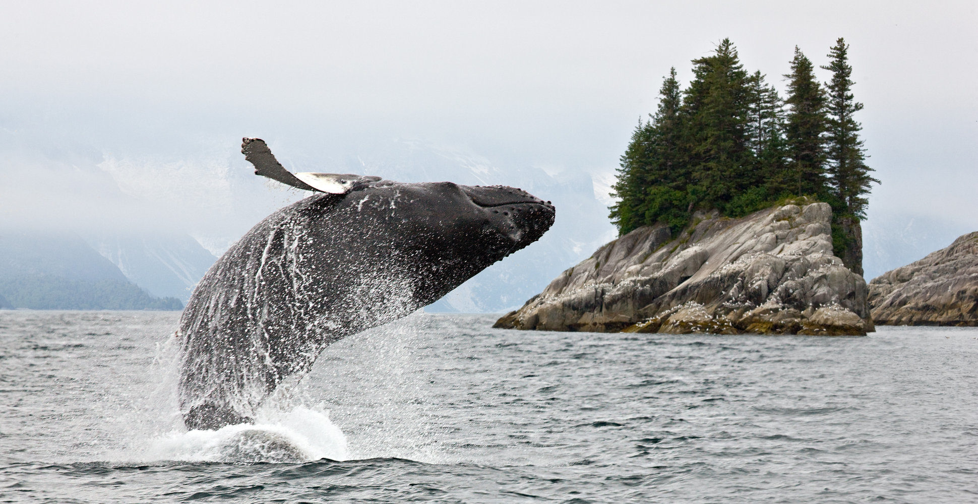 Kenai Fjords National Park