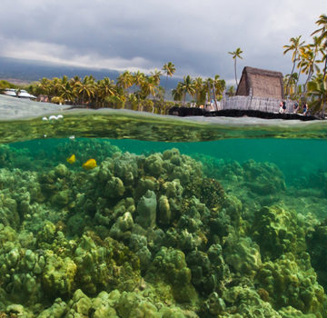 Hawaii