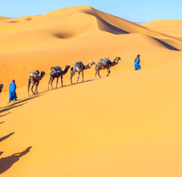 Africa