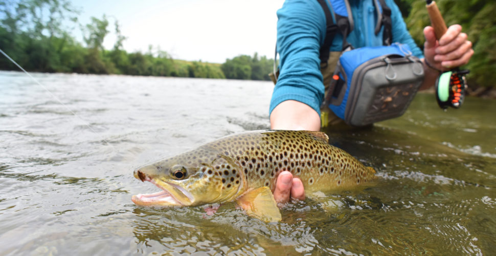 Rocky Mountain Fishing