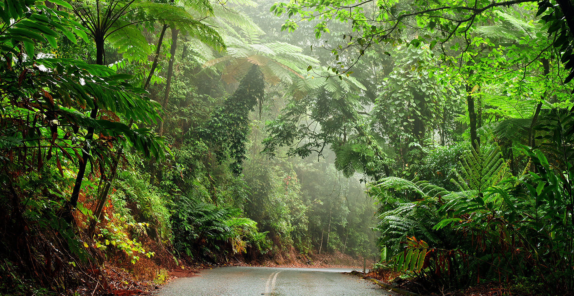 Daintree Ecological Park, Australia