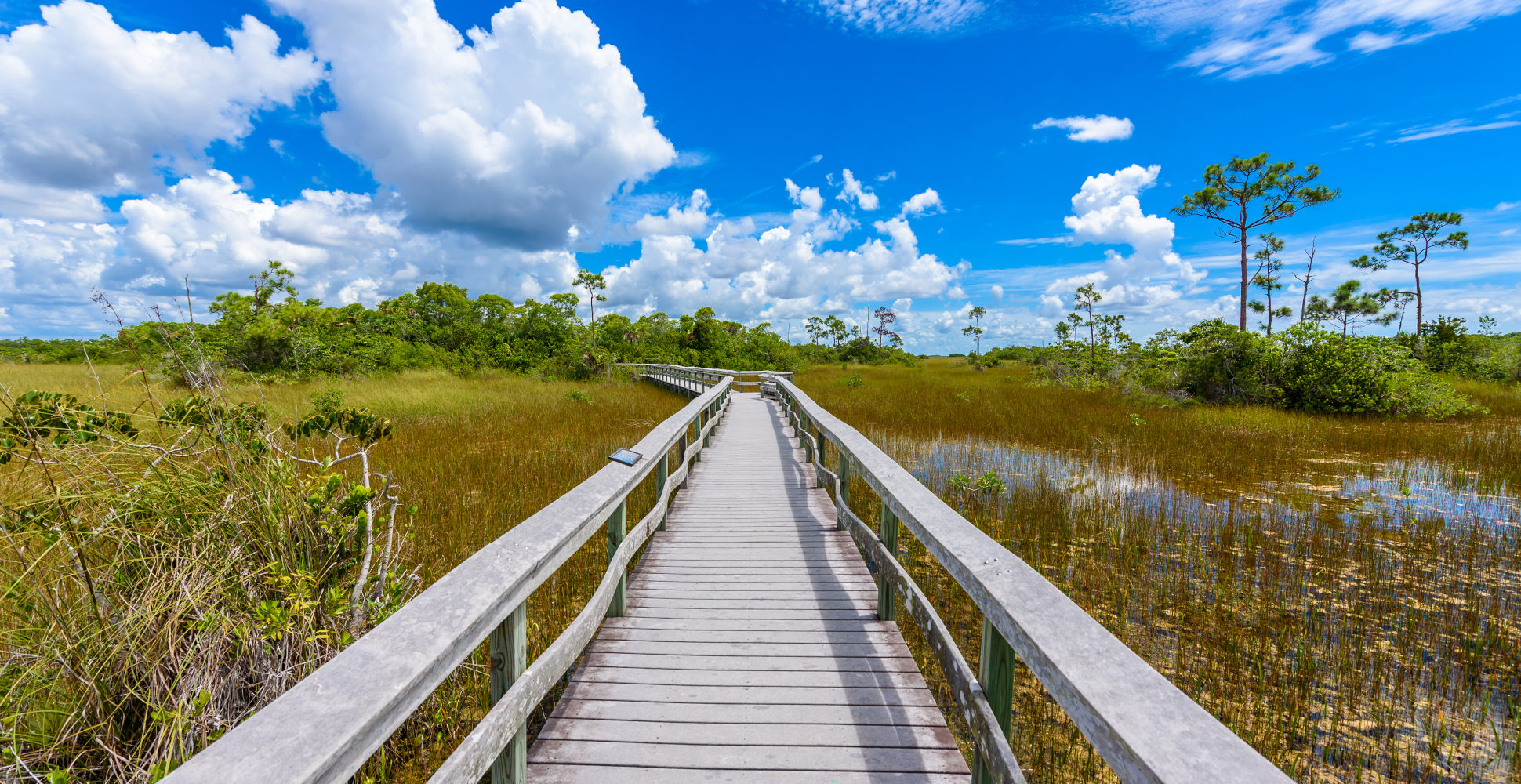 Mahogany Hammock Trail