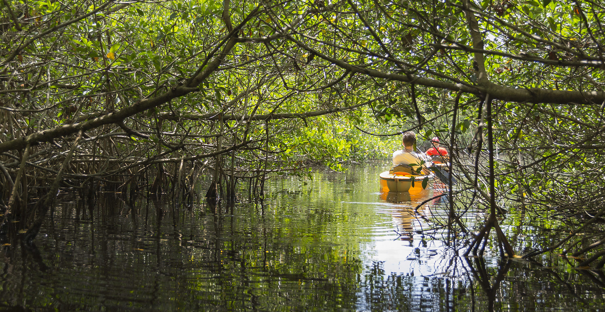 Everglades National Park