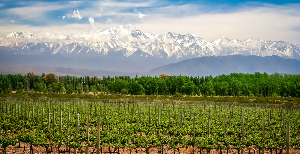 Argentina-Mendoza-vineyard-shutterstock_653307271_sized