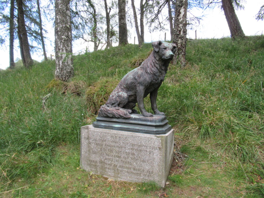 Bronze memorial to Queen Victoria's border collie Noble on the grounds of Balmoral Castle