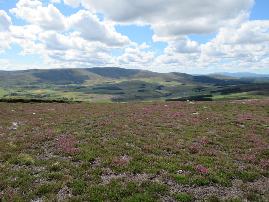 Looking out over the heathered Highlands on an Off the Beaten Path guided hiking tour