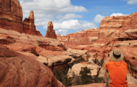 Canyonlands National Park Contemplation