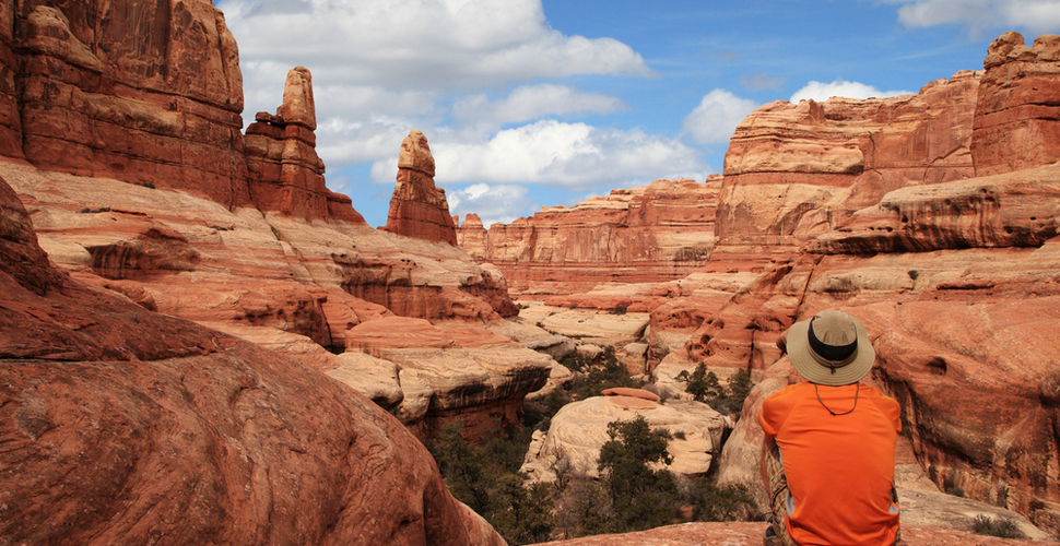 Canyonlands National Park Contemplation