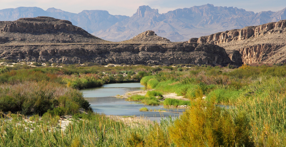 Spring Wetland in Big Bend National Park