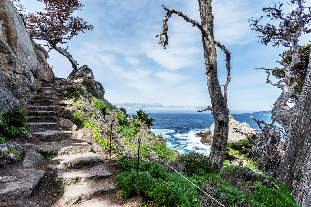 Stone stairway at Point Lobos State Park on the Central California Coast