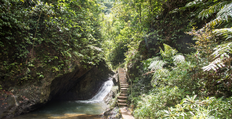 Waterfall and stairs in jungle of Suva Fiji