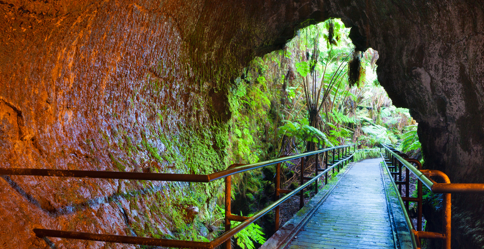 Walkway into Thurston Lava Tube in Hawaii Volcanoes National Park