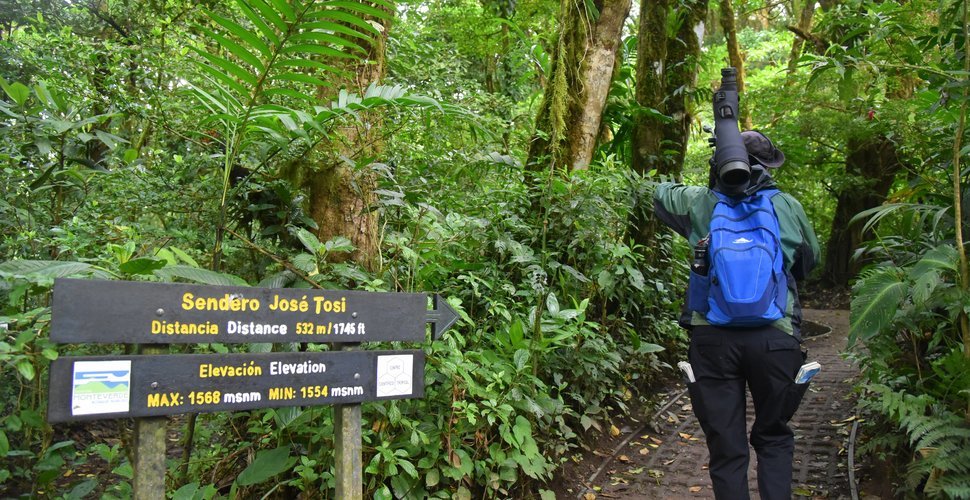 Setting out on the Sendero Jose Tosi trail in Costa Rica's Monteverde Cloud Forest