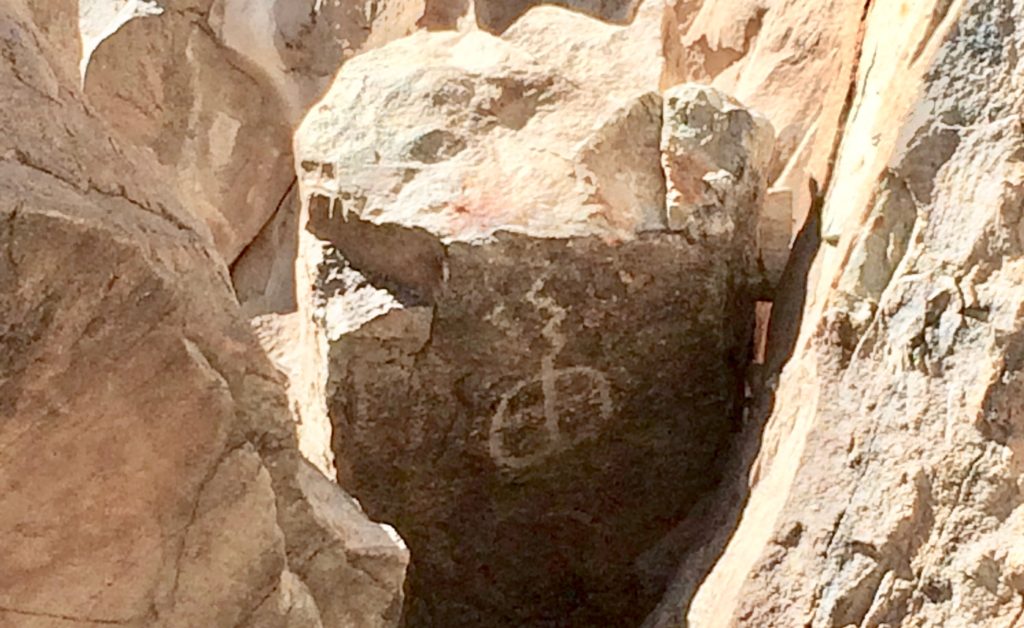 A petroglyph in Saguaro National Park looks like a tadpole