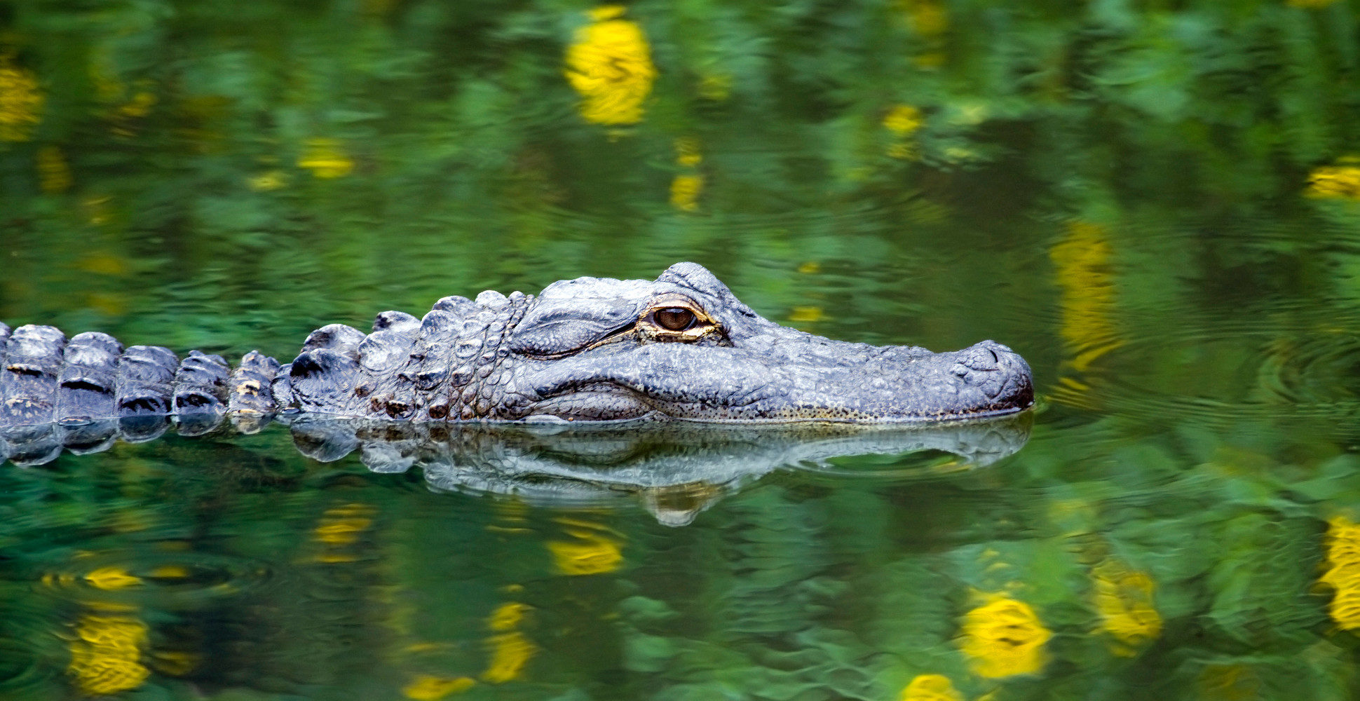 Everglades National Park