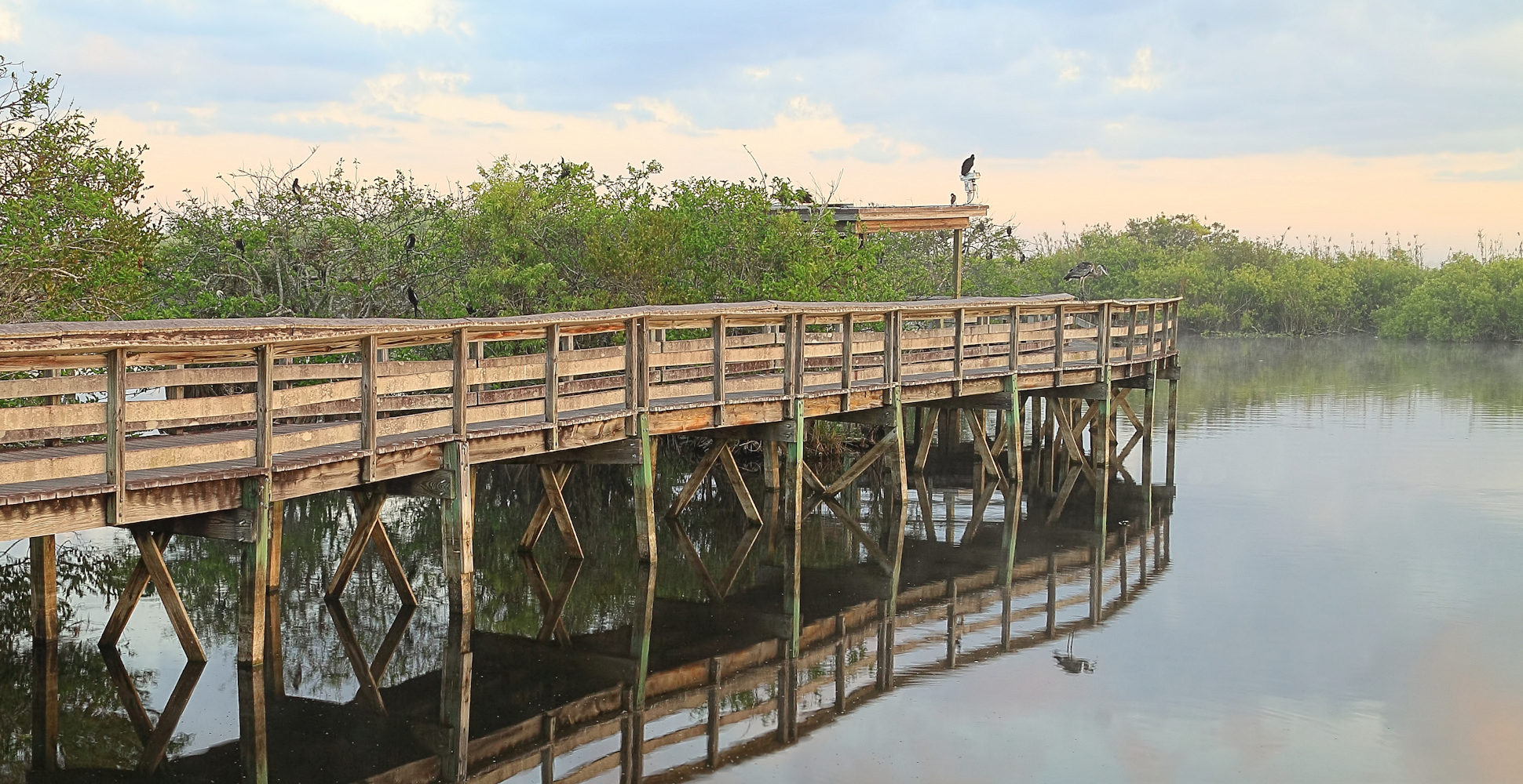 Anhinga Trail