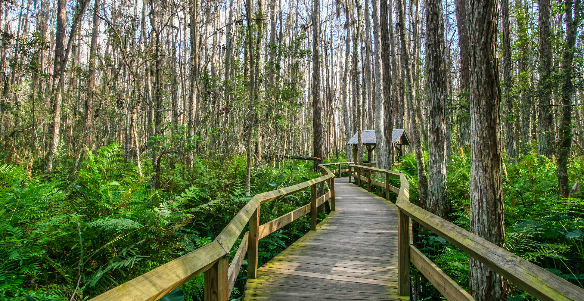 Everglades National Park