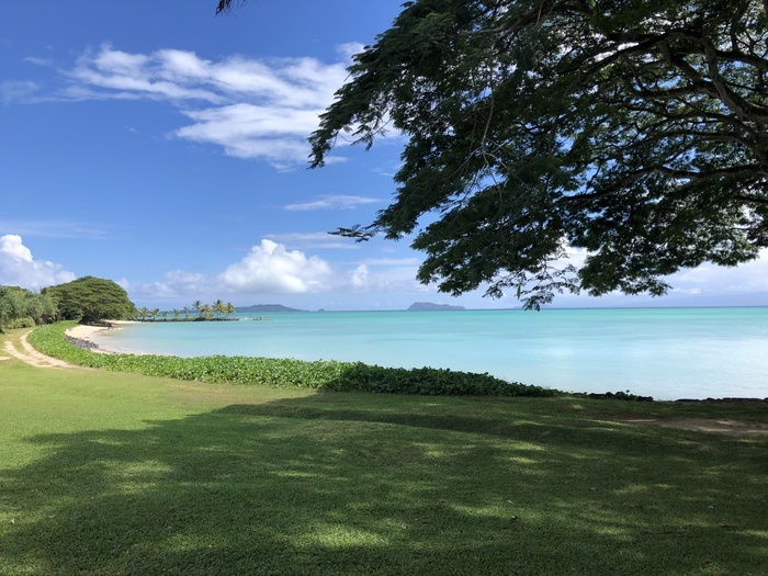 Green grass meets teal sea in Samoa