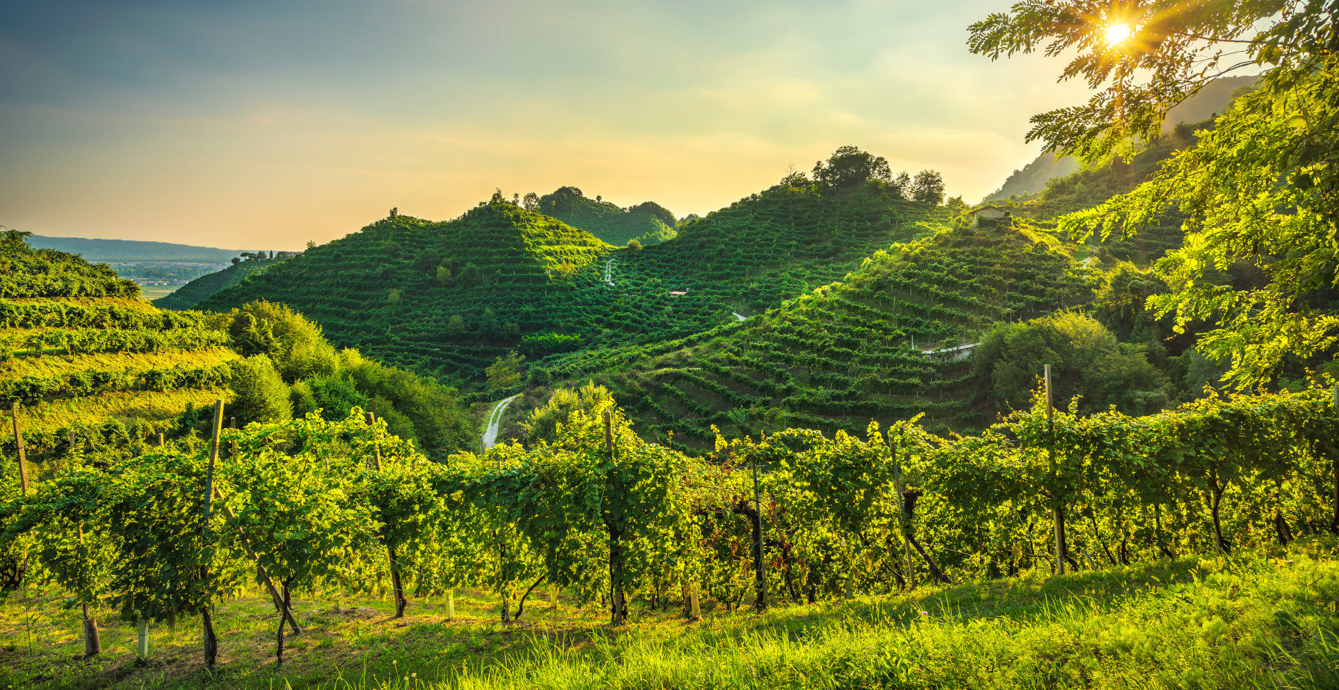 Prosecco Hills, Italian Dolomites