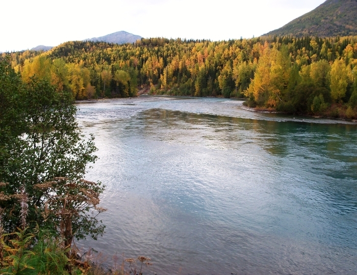 Autumn colors on the Kenai River in Alaska