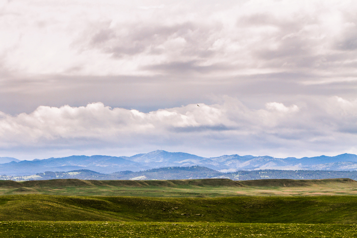 The Black Hills of South Dakota