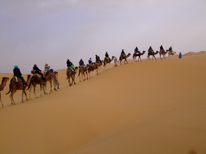 Camel escort in Sahara, Morocco