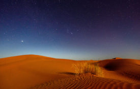 Sahara Desert Under the Stars