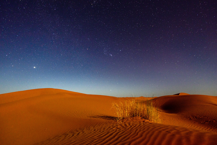 Sahara Desert Under the Stars