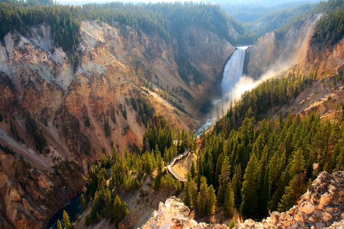 Lower Falls Yellowstone National Park