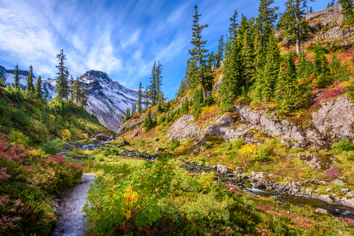 Mount Baker, Bellingham, Washington