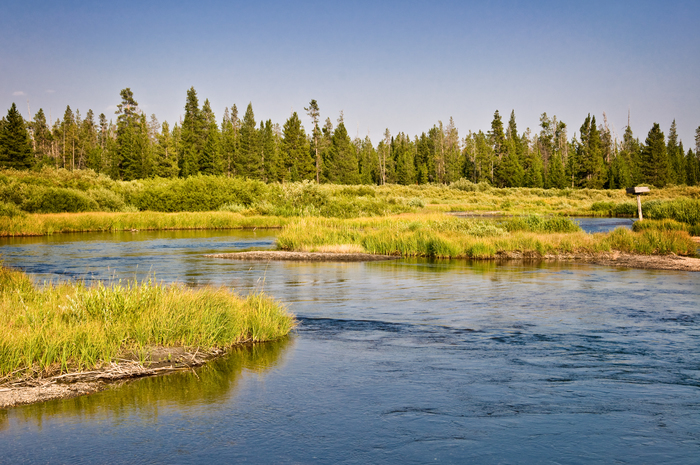 Madison River, near Bozeman, Montana