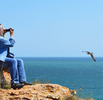 A traveler takes video of gulls from his rocky perch on the shore.