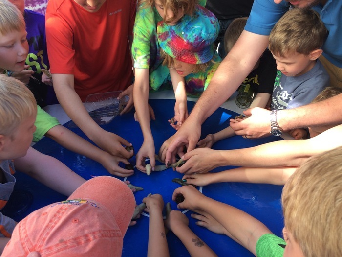 Slug Races, Ketchikan City