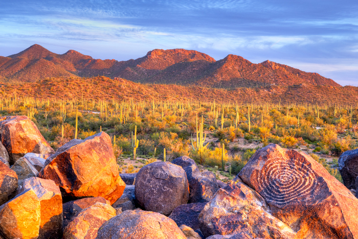 Saguaro National Park