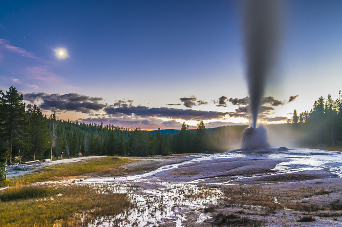 Long Star Geyser