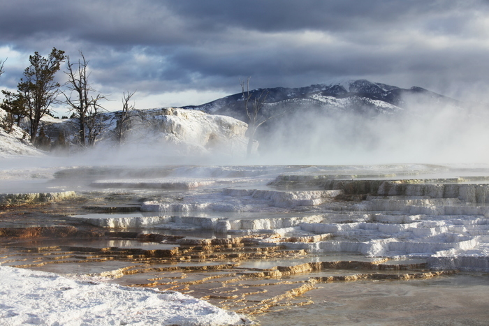 mammoth hot springs in winter