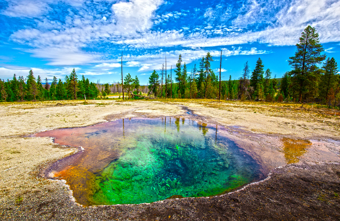 thermal feature in yellowstone national parl