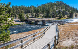 boardwalk around thermal feature in yellowstone national park