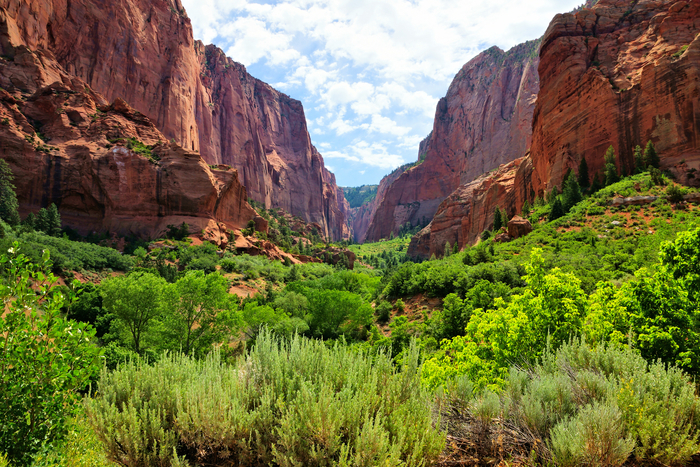 Red Cliffs of Kolob Canyon