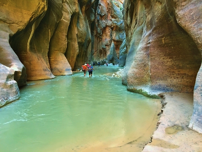 The Narrows, Zion National Park