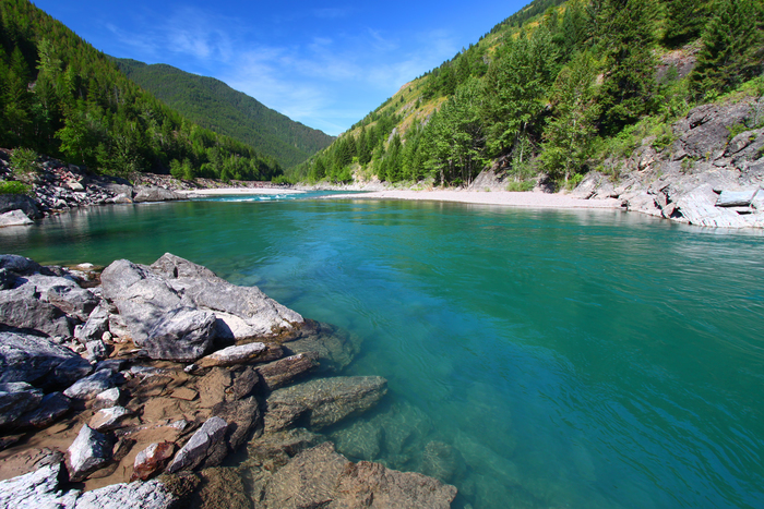 Flathead River