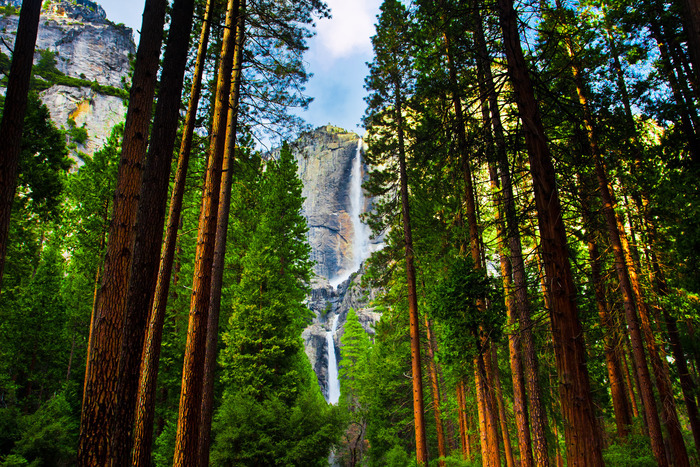 Yosemite Falls, Yosemite National Park