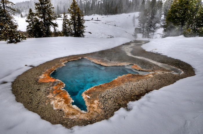 Thermal Feature in Yellowstone National Park