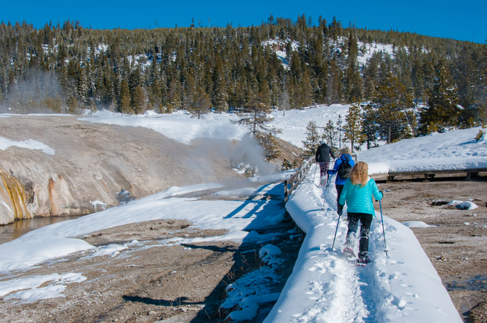 Snowshoeing through Yellowstone National Park