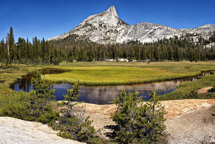 Cathedral Peak Meadow