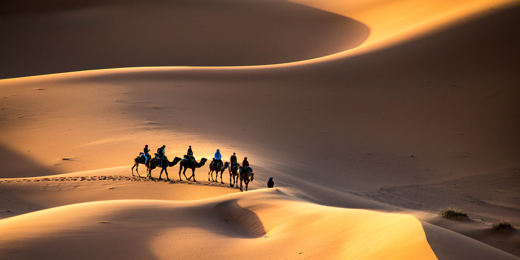 Camel Ride Through the Remote Deserts of Morocco